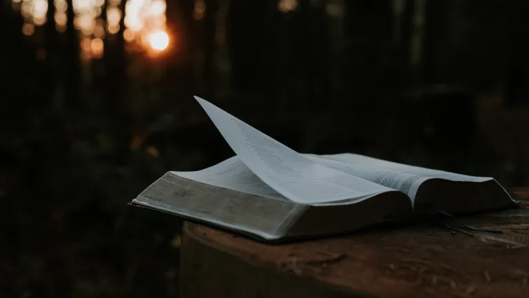 Proverbs 12:17 states: "He who speaks truth declares righteousness." a open Bible against a dark outdoor background