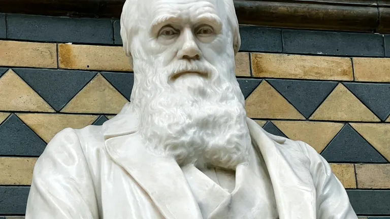 Proponents of Darwin's theory will often pit the Bible against science. a statue of Charles Darwin
