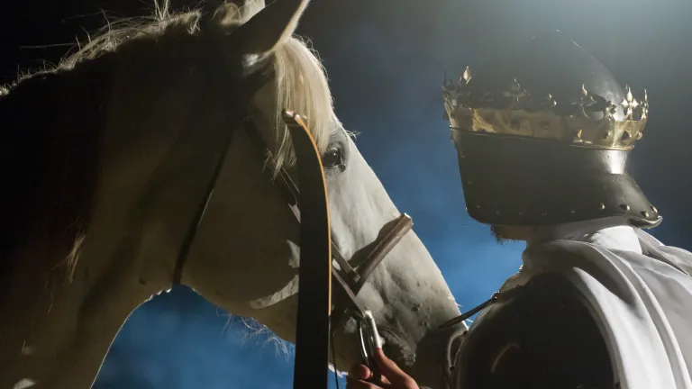 Here is a rider who appears to come in the name of and bearing a message of peace. But he is a conqueror, one who imposes his version of peace on the world. The white horse of false religion.
