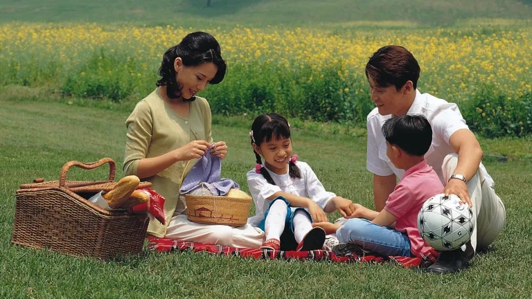 A family having a picnic in a field.