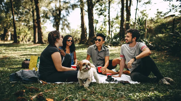 Friends can give life both its zest and its stability. four young people and a dog outdoors on a picnic mat in a field