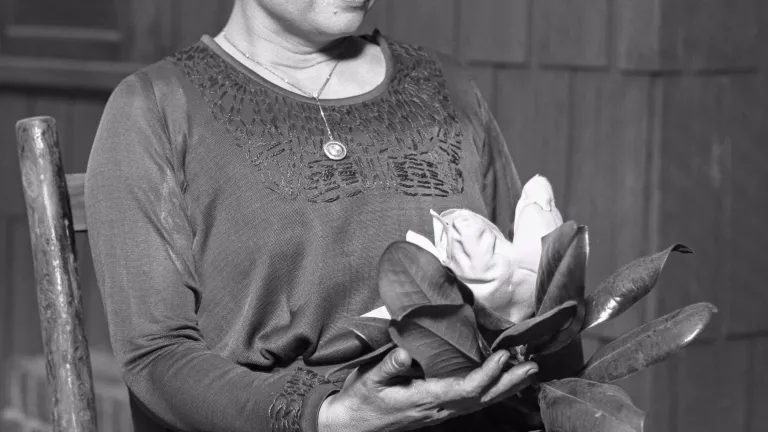 Helen Keller sitting, holding a magnolia flower, circa 1920.