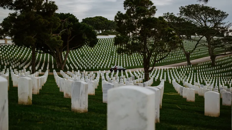 Cemetery tombstones.