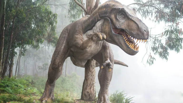 a dinosaur standing in a grassy, forested area