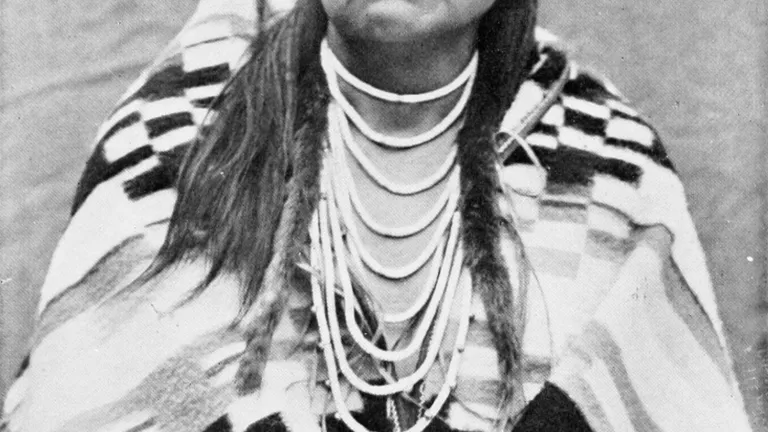 Chief Joseph, after a long and valiant struggle, said, “Hear me, my chiefs; I am tired. My heart is sick and sad. From where the sun now stands I will fight no more forever.” Chief Joseph of the Nez Perces tribe