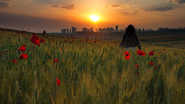 A person walking in a field outside of a city.