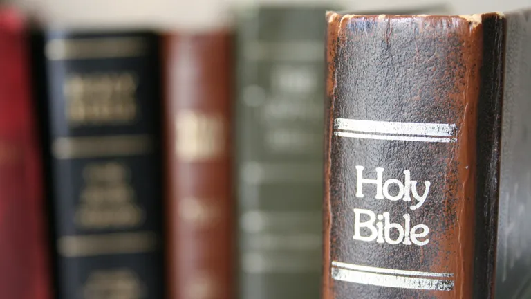 A Bible on a bookshelf.