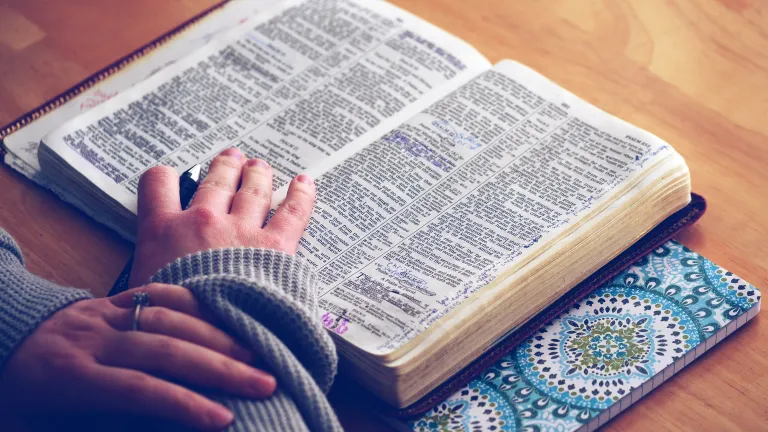 A person reading a Bible.