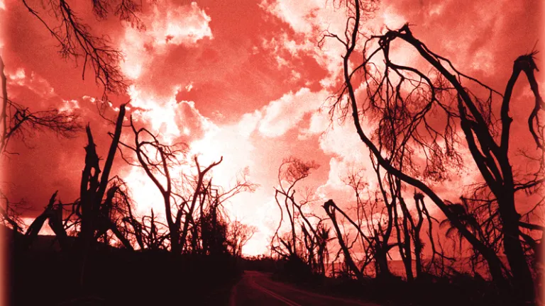 Burnt trees along the side of road with a red sky.