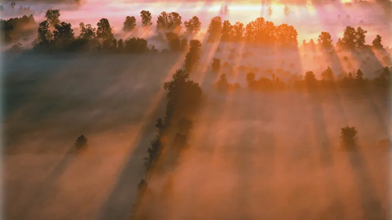 Jesus Christ will return to establish that Kingdom on earth at His second coming, at last bringing the peace mankind has always longed for but never achieved. A sunrise over a field with a morning mist.