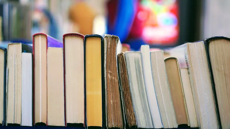 These books present a persuasive and compelling case that the theory of evolution is fundamentally and fatally flawed. A stack of books.