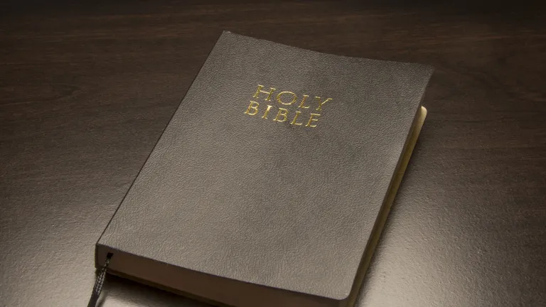 A plain and simple meaning of Matthew 25:46 that fits with the rest of the Bible is that the wicked are cast into a fire that annihilates them—renders them forever extinct. Bible laying on top of a table.