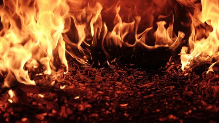 Flames of a fire.