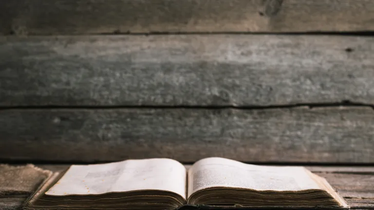 The Bible simply says that God “took him.” It does not specify where he was taken. An open Bible laying on a table.