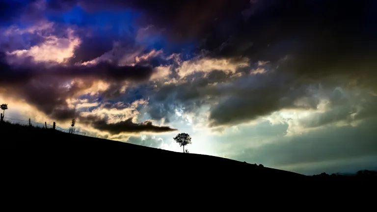 Through God's wonderful plan everyone will have an opportunity to know His truth, repent and receive salvation. A tree with sunlight behind it on top of a hill.