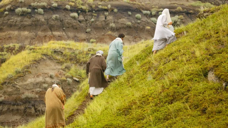 Several of Jesus Christ’s apostles were His cousins; later His half brothers James and Judas wrote epistles that bear their names and became part of the New Testament. People walking up a hill.