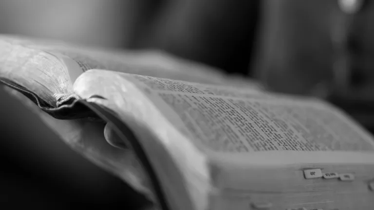 Only those who are forgiven on repentance and led by the Holy Spirit into the obedient way of life revealed in God’s spiritual laws and teachings will succeed in that spiritual walk. A person holding a Bible.