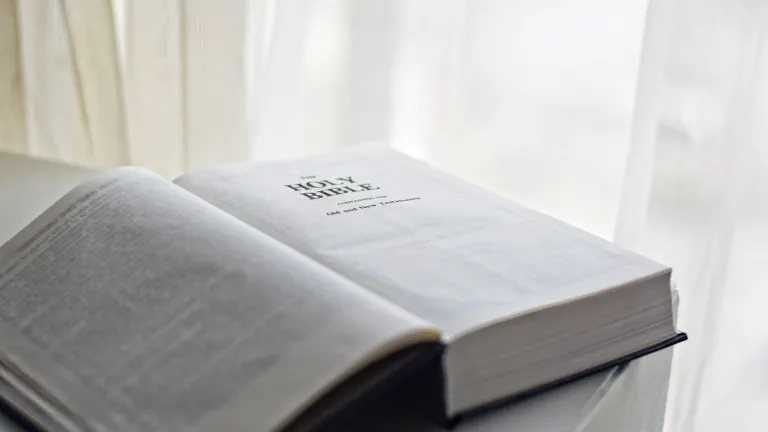 What Jesus was saying is that the Old Testament in all its parts and elements—moral and prophetic—referred to Himself and applied to Him. An open Bible laying on a table.