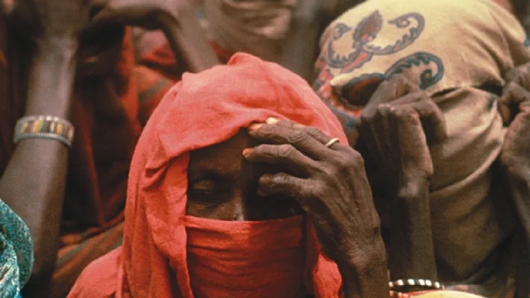 Millions of people go to sleep with hunger gnawing at their stomachs. Their meager income goes to purchase just enough food to keep them alive. A group of women.