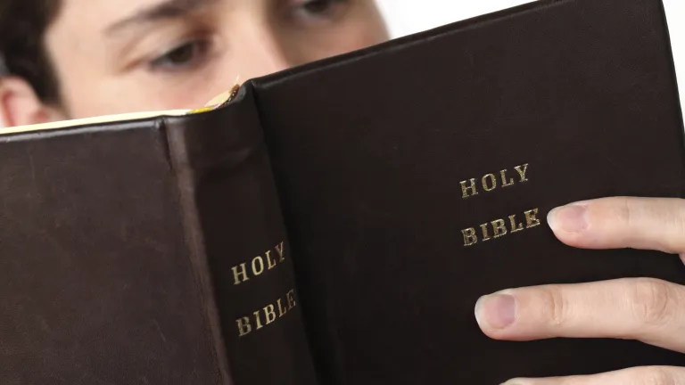 A person looking at a Bible.