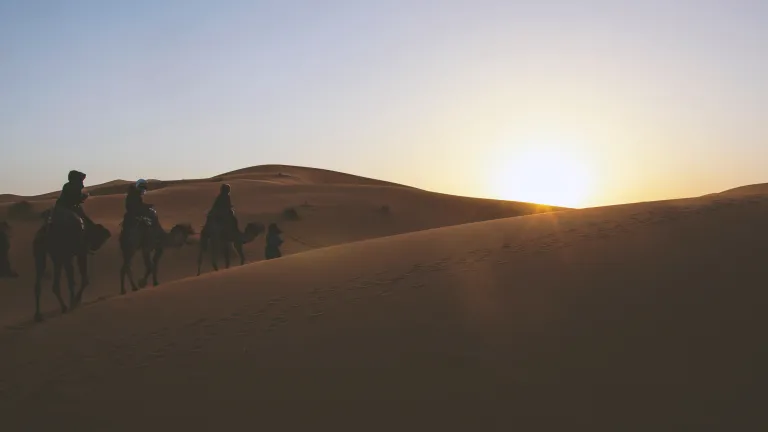 Are all Israelites Jews? No. Jews—the citizens and descendants of the kingdom of Judah—are indeed Israelites, but not all Israelites are Jews. People riding camels in the desert.