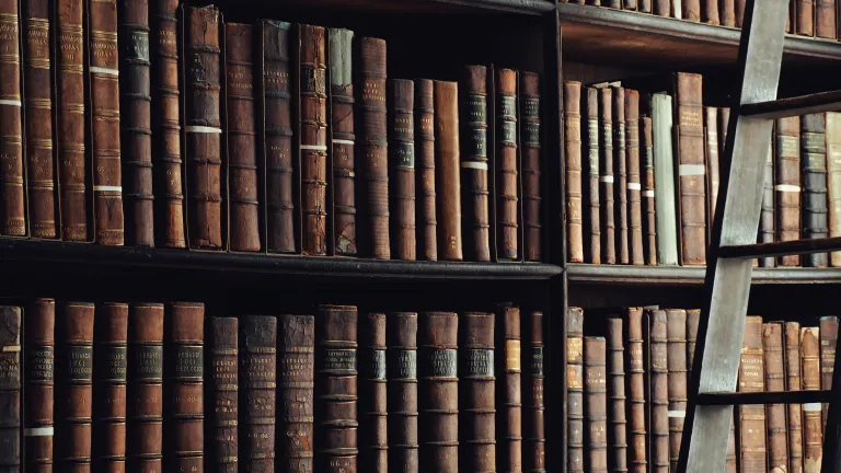 Iranaeus wrote: "There is none other called God by the Scriptures except the Father of all, and the Son, and those who possess the adoption..." Shelves of old books.
