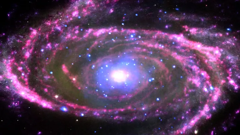 A galaxy of stars.