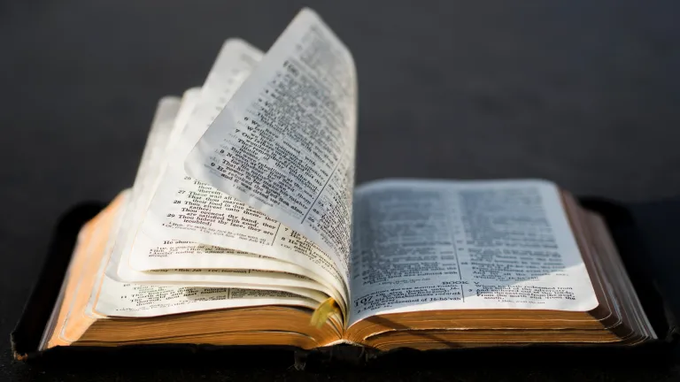You can see that, when we examine the whole of Scripture, we find a great deal more information that illuminates and explains the Genesis account. An open Bible laying on a table.