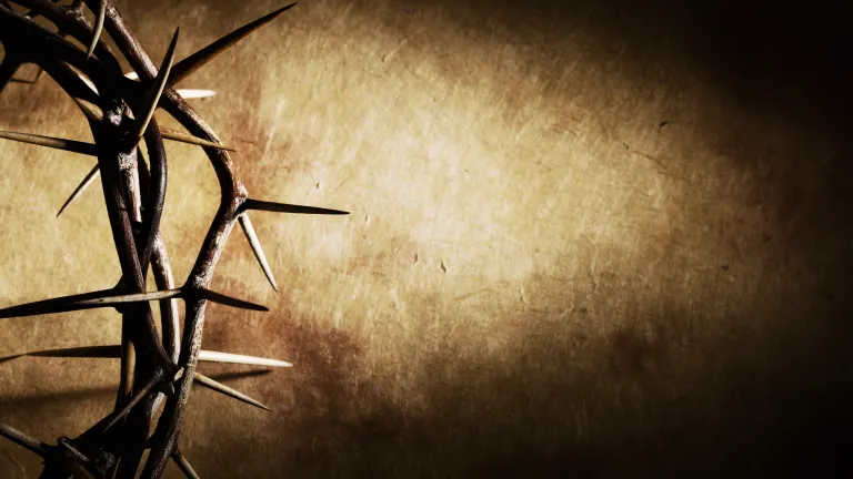We need to know, without a doubt, who and what Jesus was. Jesus was both Man and God. That’s what the Bible teaches; that’s what the apostles taught; that’s what Jesus taught; and that’s what the church teaches today. Crown of thorns.
