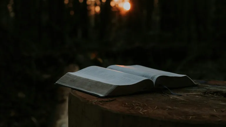 An open Bible on a log.