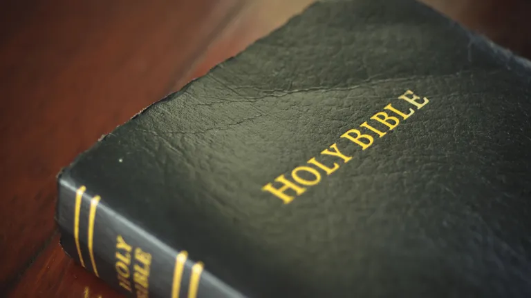Designating Jesus as the “one Lord” stresses His role as the One who exercises God’s rule over creation. A Bible laying on a table.