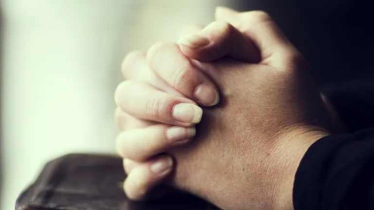 Womans hands on top of a Bible.