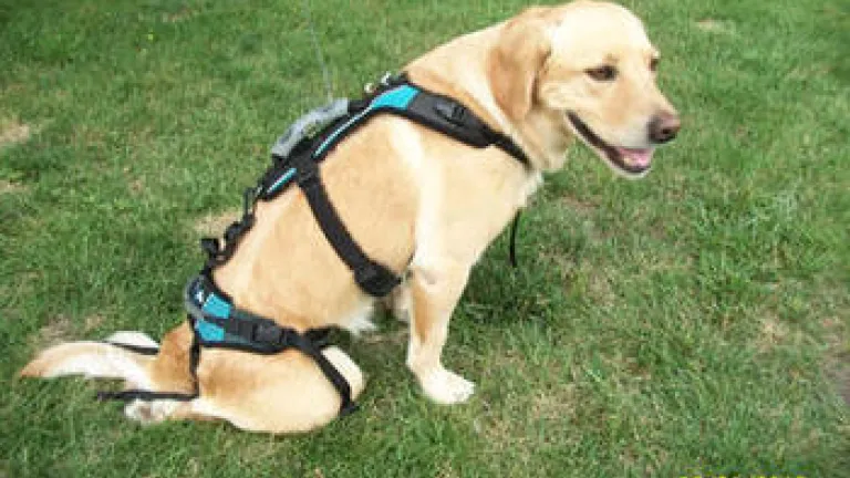 Giving Glory to the Father