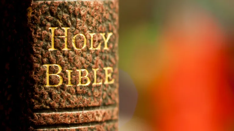 A Bible.