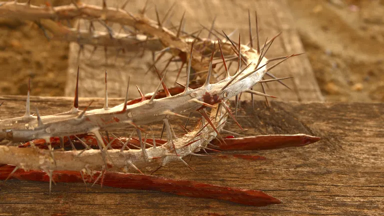 Crown of thorns and stakes.