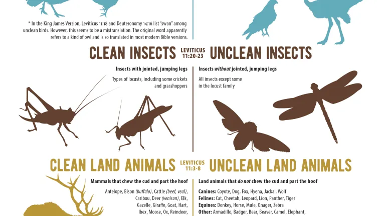 You shall therefore distinguish between clean animals and unclean, between unclean birds and clean, and you shall not make yourselves abominable by beast or by bird, or by any kind of living thing that creeps on the ground... (Leviticus 20) Infographic Clean vs. Unclean Meats