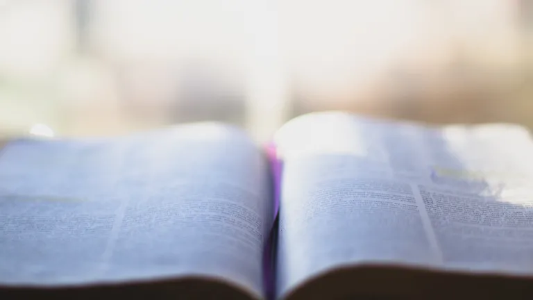 A open Bible in front of a window.