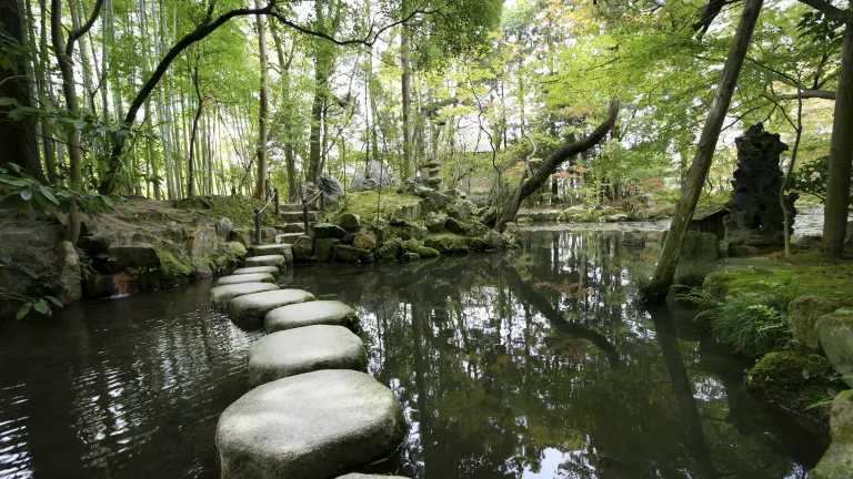 It’s time get rid of the pain and sorrow that comes from drinking too much alcohol and alcohol addiction. Stepping stones over a small pond.