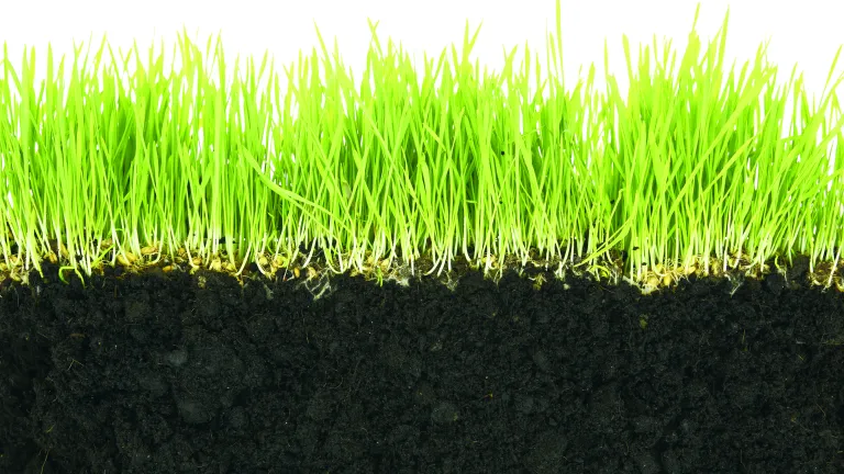 The dead are completely unconscious. They are not cognizant of anything. Cut view of grass and dirt.
