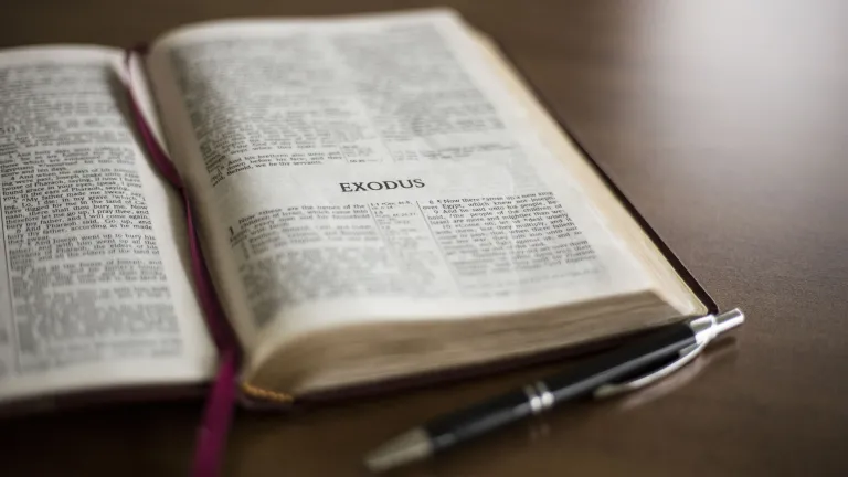 “‘Now therefore, if you will indeed obey My voice and keep My covenant, then you shall be a special treasure to Me above all people; for all the earth is Mine. And you shall be to Me a kingdom of priests and a holy nation.’ These are the words which you s “‘Now therefore, if you will indeed obey My voice and keep My covenant, then you shall be a special treasure to Me above all people; for all the earth is Mine. And you shall be to Me a kingdom of priests and a holy nation.’ These are the words which you s
