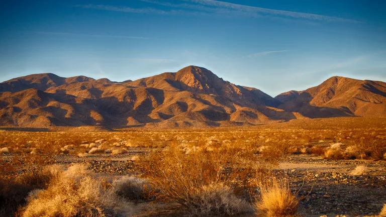 A plains desert with mountains in the background.