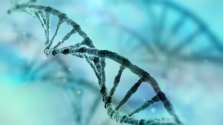 Ongoing discoveries about the astounding complexity of DNA continue to provide solid evidence for the divine creation of life. DNA strand