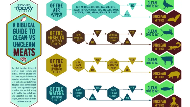 Ask these questions from the chart above to determine if an animal is good to eat or not food. Infographic - Biblical guide to clean and unclean meats.