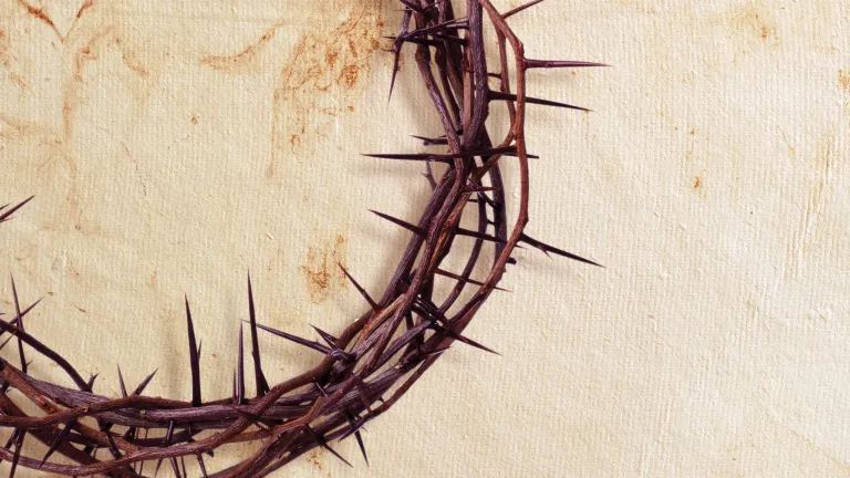 The Passover, with all of its history and symbolism, is actually the centerpiece of Christ’s offering of Himself and subsequent ascension to the throne of God to serve as High Priest and Intercessor. Crown of thorns.