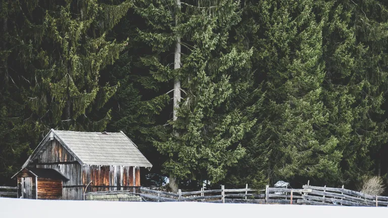 The “Shack” is the fictional site of the grisly murder of the main character’s youngest daughter, which tragedy haunts him and leaves him severely depressed. A old shack in a forest.