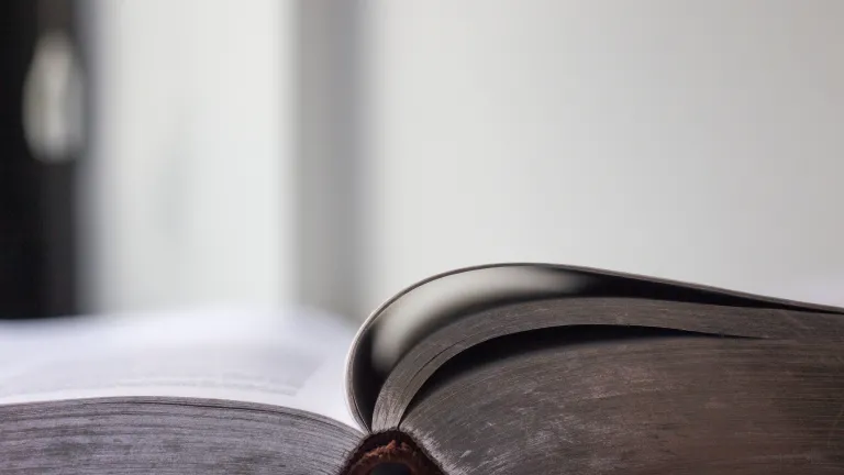 A open Bible.