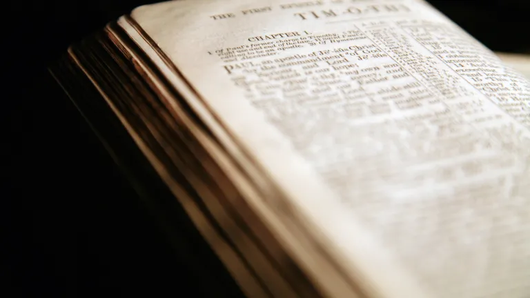 A Bible opened to the book of Timothy.