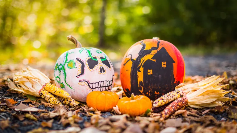 Halloween represents darkness, filth and ugliness. Halloween is not harmless. Halloween drawings on pumpkins.