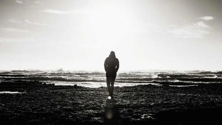 Let's work to overcome our own sins and pray for that day when the earth will be totally renewed and transformed by God into the beautiful and peaceful home He intended. A silhouette of a person walking towards water.