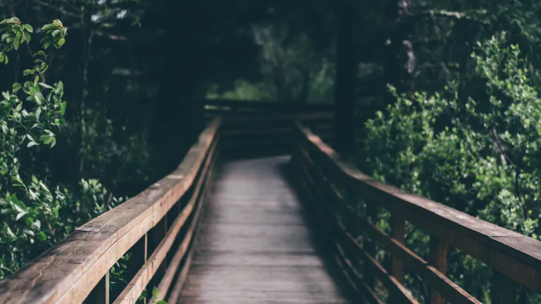 Kindness goes a long way to make life a better experience for the use of it.